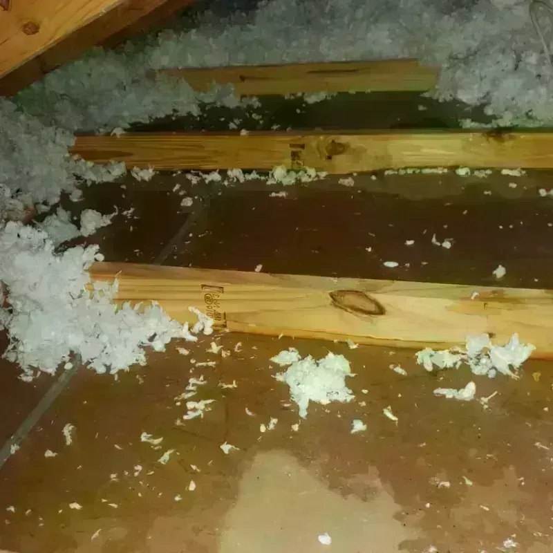 Attic Water Damage in Hudson, IA